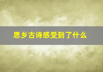 思乡古诗感受到了什么