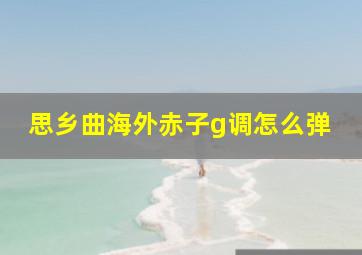 思乡曲海外赤子g调怎么弹