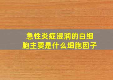 急性炎症浸润的白细胞主要是什么细胞因子