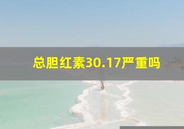 总胆红素30.17严重吗