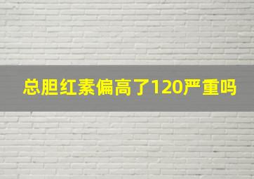 总胆红素偏高了120严重吗