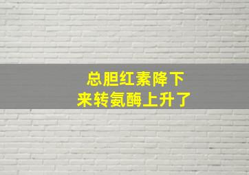 总胆红素降下来转氨酶上升了