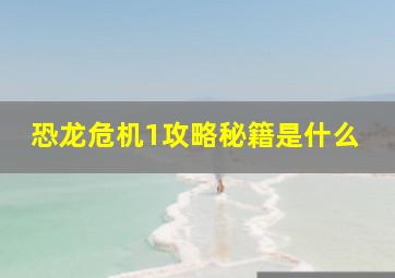 恐龙危机1攻略秘籍是什么