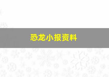 恐龙小报资料