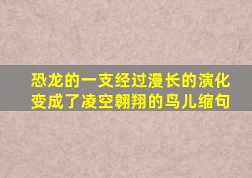 恐龙的一支经过漫长的演化变成了凌空翱翔的鸟儿缩句