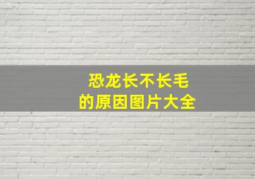 恐龙长不长毛的原因图片大全