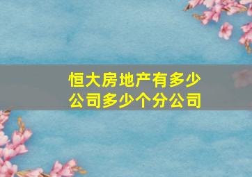 恒大房地产有多少公司多少个分公司