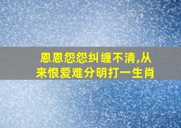 恩恩怨怨纠缠不清,从来恨爱难分明打一生肖