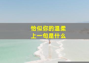 恰似你的温柔上一句是什么