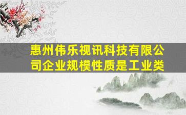 惠州伟乐视讯科技有限公司企业规模性质是工业类