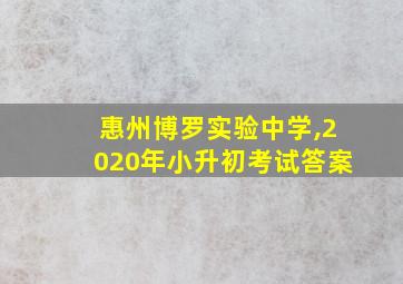 惠州博罗实验中学,2020年小升初考试答案