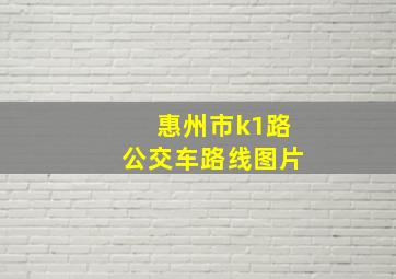 惠州市k1路公交车路线图片