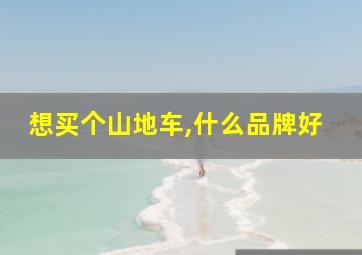 想买个山地车,什么品牌好