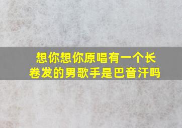 想你想你原唱有一个长卷发的男歌手是巴音汗吗