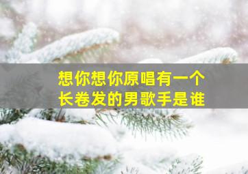 想你想你原唱有一个长卷发的男歌手是谁