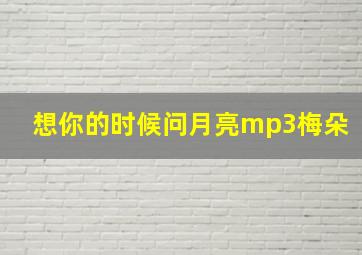 想你的时候问月亮mp3梅朵