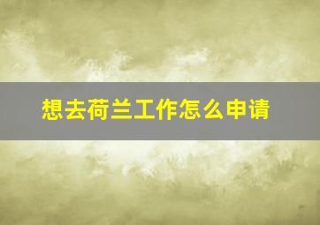 想去荷兰工作怎么申请