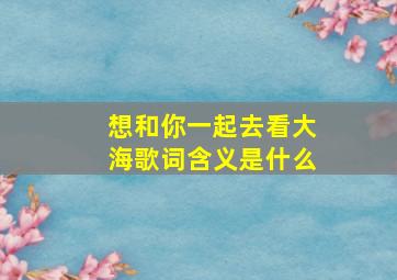 想和你一起去看大海歌词含义是什么