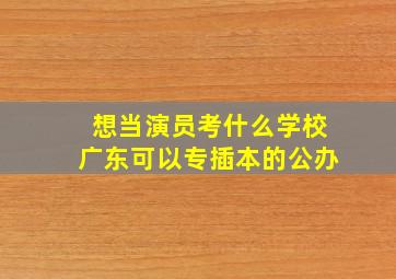 想当演员考什么学校广东可以专插本的公办