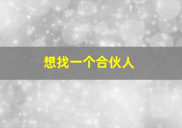 想找一个合伙人