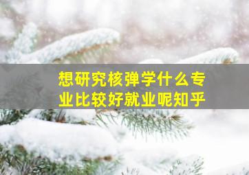 想研究核弹学什么专业比较好就业呢知乎