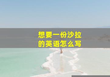 想要一份沙拉的英语怎么写