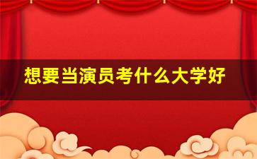 想要当演员考什么大学好