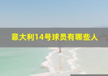 意大利14号球员有哪些人