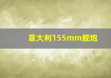 意大利155mm舰炮