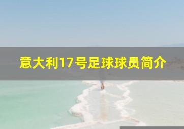 意大利17号足球球员简介