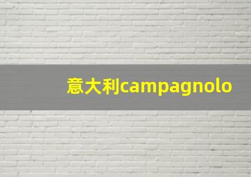 意大利campagnolo