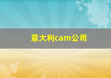 意大利cam公司