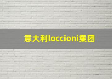 意大利loccioni集团