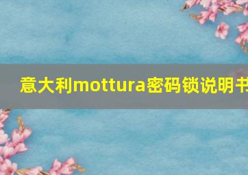 意大利mottura密码锁说明书