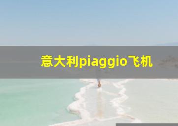 意大利piaggio飞机