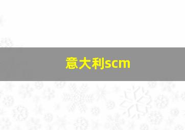 意大利scm