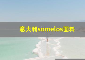 意大利somelos面料