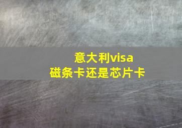 意大利visa磁条卡还是芯片卡