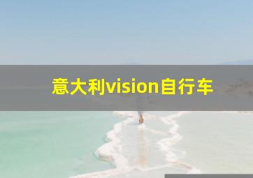 意大利vision自行车