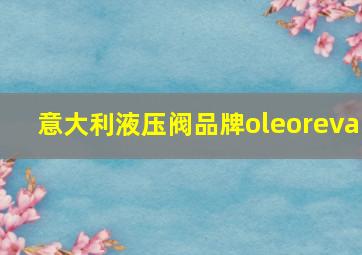 意大利液压阀品牌oleoreva