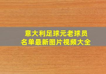 意大利足球元老球员名单最新图片视频大全