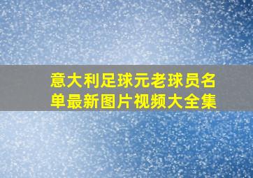 意大利足球元老球员名单最新图片视频大全集