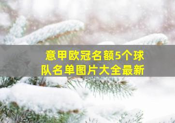 意甲欧冠名额5个球队名单图片大全最新