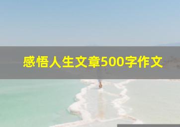 感悟人生文章500字作文