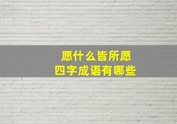 愿什么皆所愿四字成语有哪些