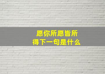 愿你所愿皆所得下一句是什么