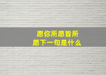 愿你所愿皆所愿下一句是什么