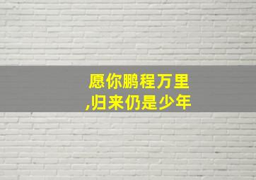 愿你鹏程万里,归来仍是少年