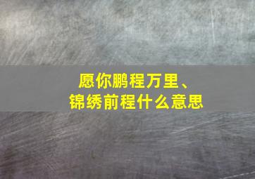 愿你鹏程万里、锦绣前程什么意思