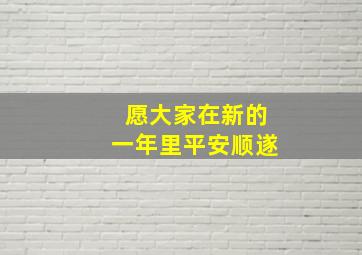 愿大家在新的一年里平安顺遂